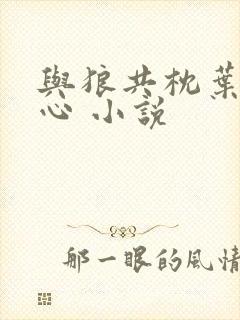 与狼共枕叶落无心 小说