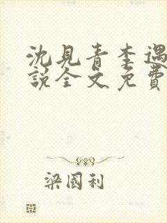 沈见青李遇泽小说全文免费阅读封面