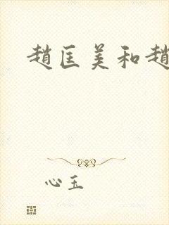 赵匡美和赵匡胤