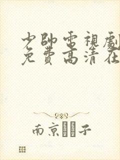 少帅电视剧全集免费高清在线观看