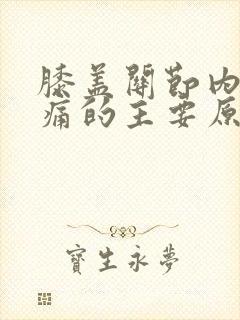 膝盖关节内侧疼痛的主要原因封面