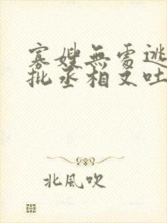 寡嫂无处逃,疯批丞相又吐血了封面