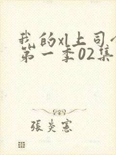 我的xl上司令第一季02集免费观看最新