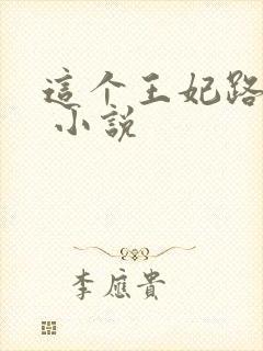 这个王妃路子野 小说封面