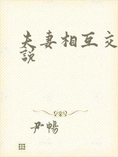 夫妻相互交换小说封面