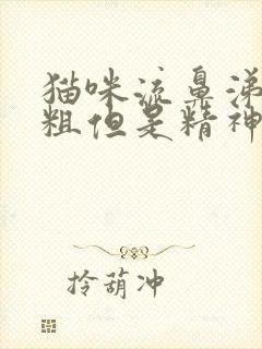 猫咪流鼻涕喘气粗但是精神挺好的