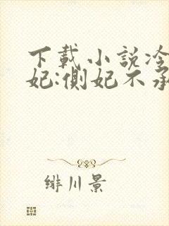 下载小说冷王盗妃:侧妃不承欢