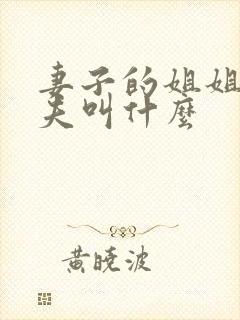 妻子的姐姐的丈夫叫什么