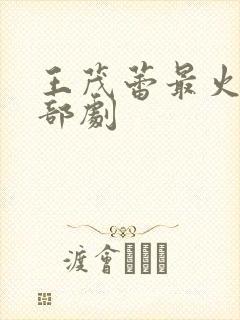 王茂蕾最火的三部剧