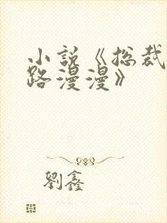 小说《总裁追妻路漫漫》