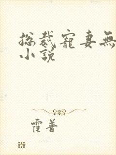 总裁宠妻无度的小说封面