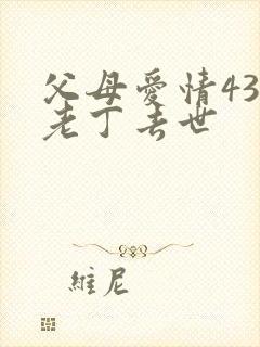 父母爱情43集老丁去世