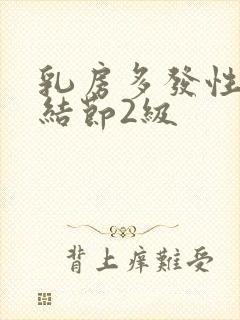 乳房多发性囊性结节2级