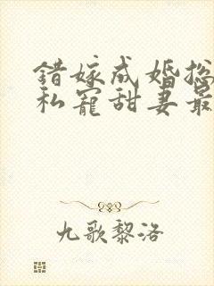 错嫁成婚总裁的私宠甜妻最新