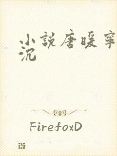 小说唐暖宁薄宴沉