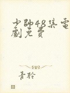 少帅48集电视剧免费