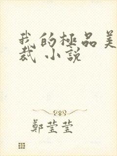 我的极品美女总裁 小说