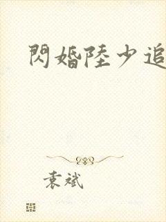 闪婚陆少追妻忙