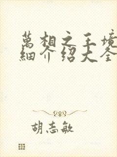 万相之王境界详细介绍大全封面