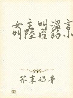 女主叫温言男主叫陆曜的小说