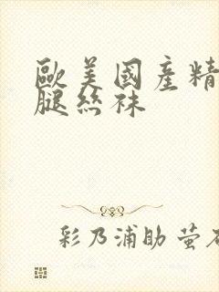 欧美国产精品美腿丝袜