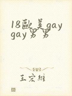 18欧美gaygay男男