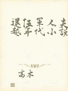 退伍军人夫妻穿越年代小说