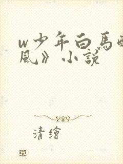 w少年白马醉春风》小说