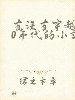 有没有穿越到70年代的小说封面