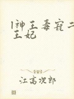 l神王毒宠二嫁王妃封面