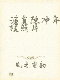 演员陈冲年轻时候照片封面