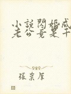 小说闪婚成宠,老公竟是千亿大佬