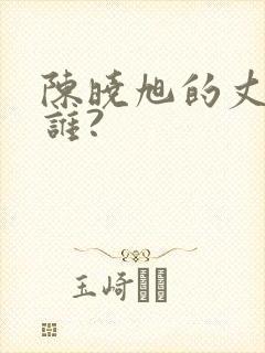 陈晓旭的丈夫是谁?封面