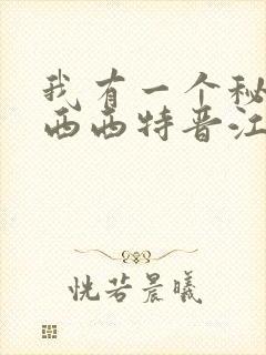 我有一个秘密 西西特晋江
