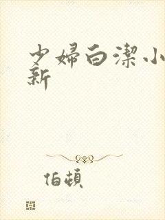 少妇白洁小说最新