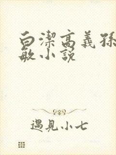 白洁高义孙倩张敏小说封面