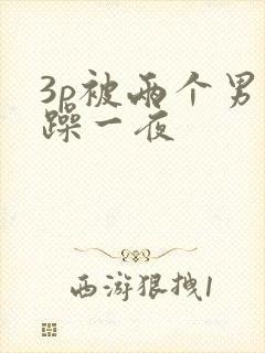 3p被两个男人躁一夜