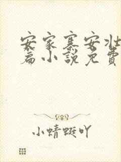 安家寨安壮壮全篇小说免费阅读