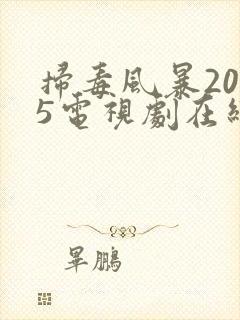 扫毒风暴2025电视剧在线观看