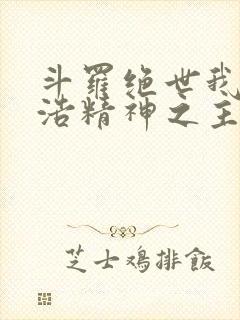 斗罗绝世我霍雨浩精神之主小说封面