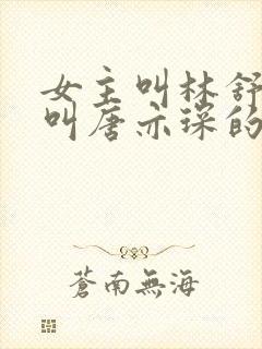 女主叫林舒男主叫唐亦琛的小说封面