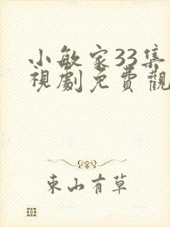 小敏家33集电视剧免费观看