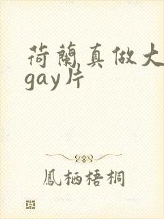 荷兰真做大尺度gay片