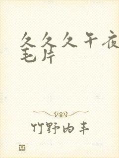 久久久午夜精品毛片封面