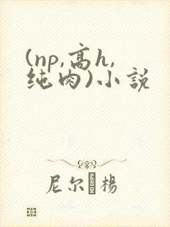 (np,高h,纯肉)小说