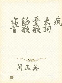 你的爱太疯是哪首歌歌词