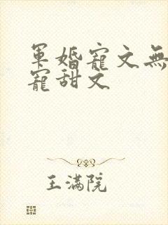 军婚宠文无虐超宠甜文