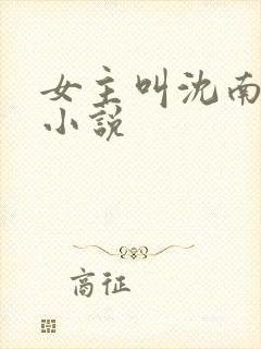 女主叫沈南辞的小说封面