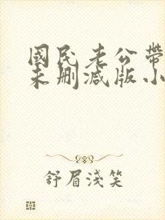 国民老公带回家未删减版小说