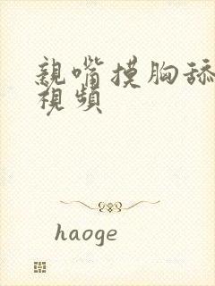 亲嘴摸胸舔下面视频